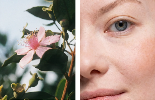 Anti-Aging Retinol Alternativserum mit Bidens Pilosa, vegan