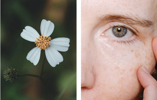 Augenserum sanfte Retinol Alternative vegan