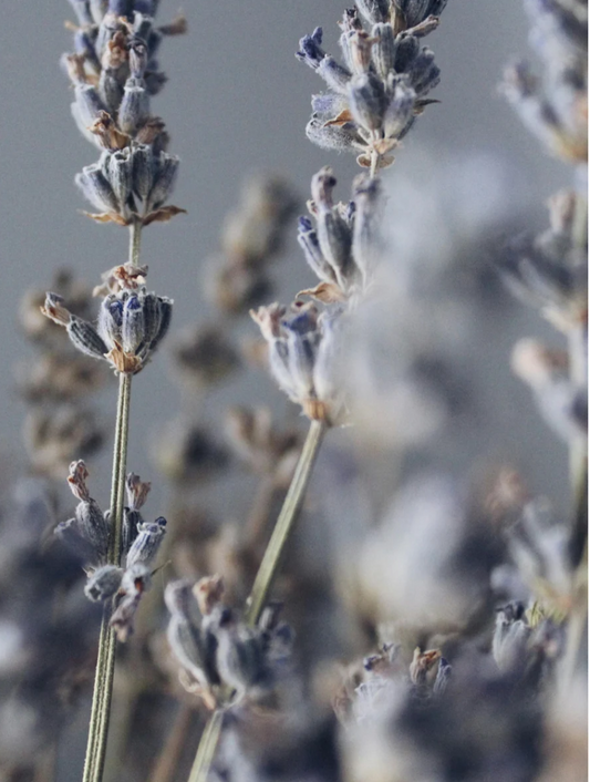 Handgegossene Sojawachskerze Lavendel, vegan