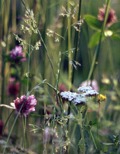 Handgegossene Sojawachskerze Wildblume, vegan