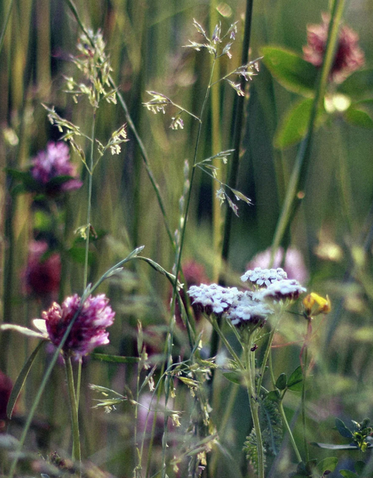 Handgegossene Sojawachskerze Wildblume, vegan