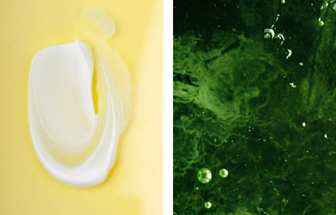 Ceramid Nachtcreme mit Hyaluronsäure vegan