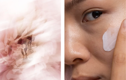 Collagen Nachtcreme Anti-Aging für reife Haut vegan