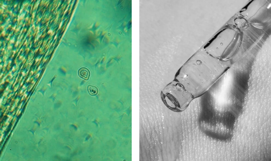 Gesichtsöl mit CBD beruhigend für trockene Haut bio