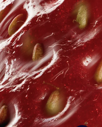 Anti-Aging Creme mit Peptiden Tag und Nacht vegan
