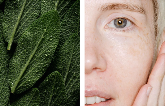 Gesichtsspray mit Hyaluronsäure präbiotisch vegan