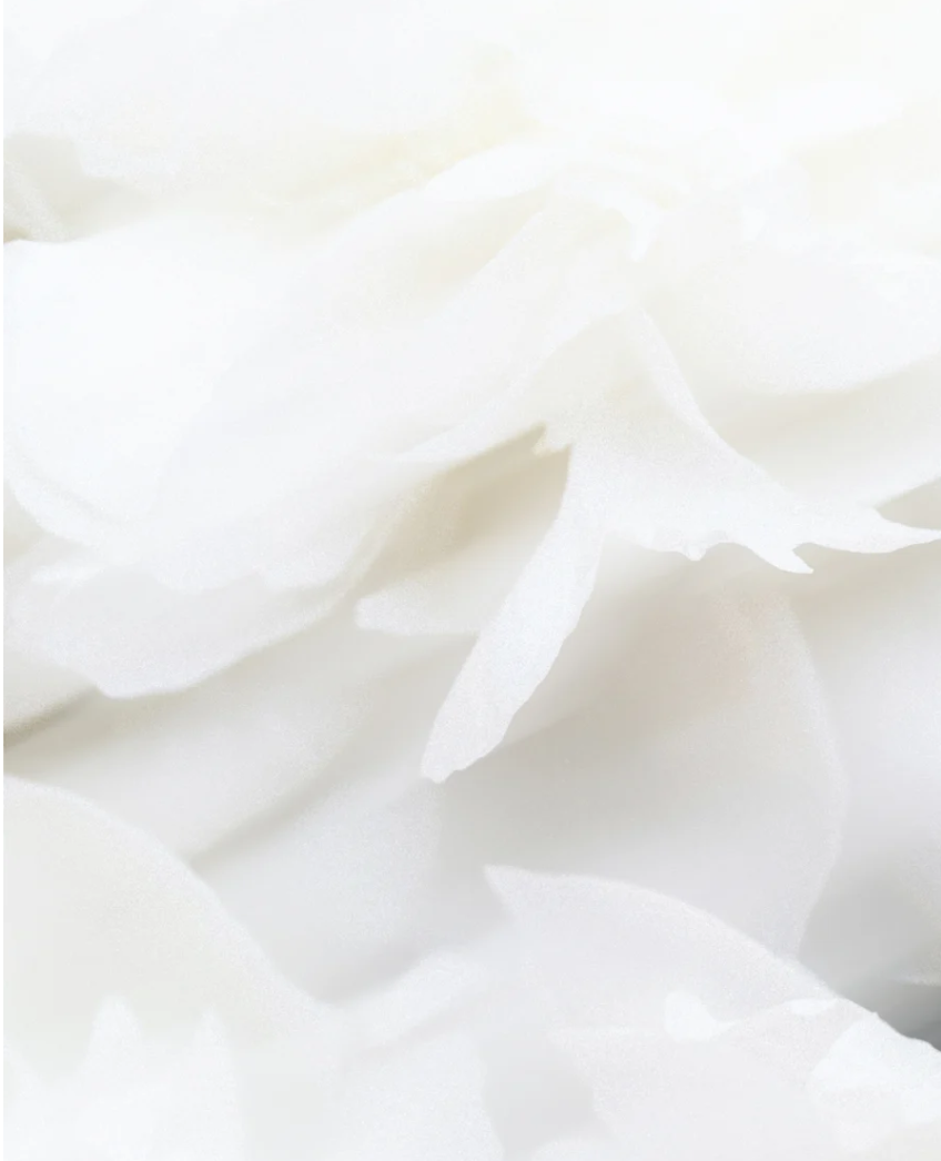 Shampoo für empfindliche Kopfhaut vegan