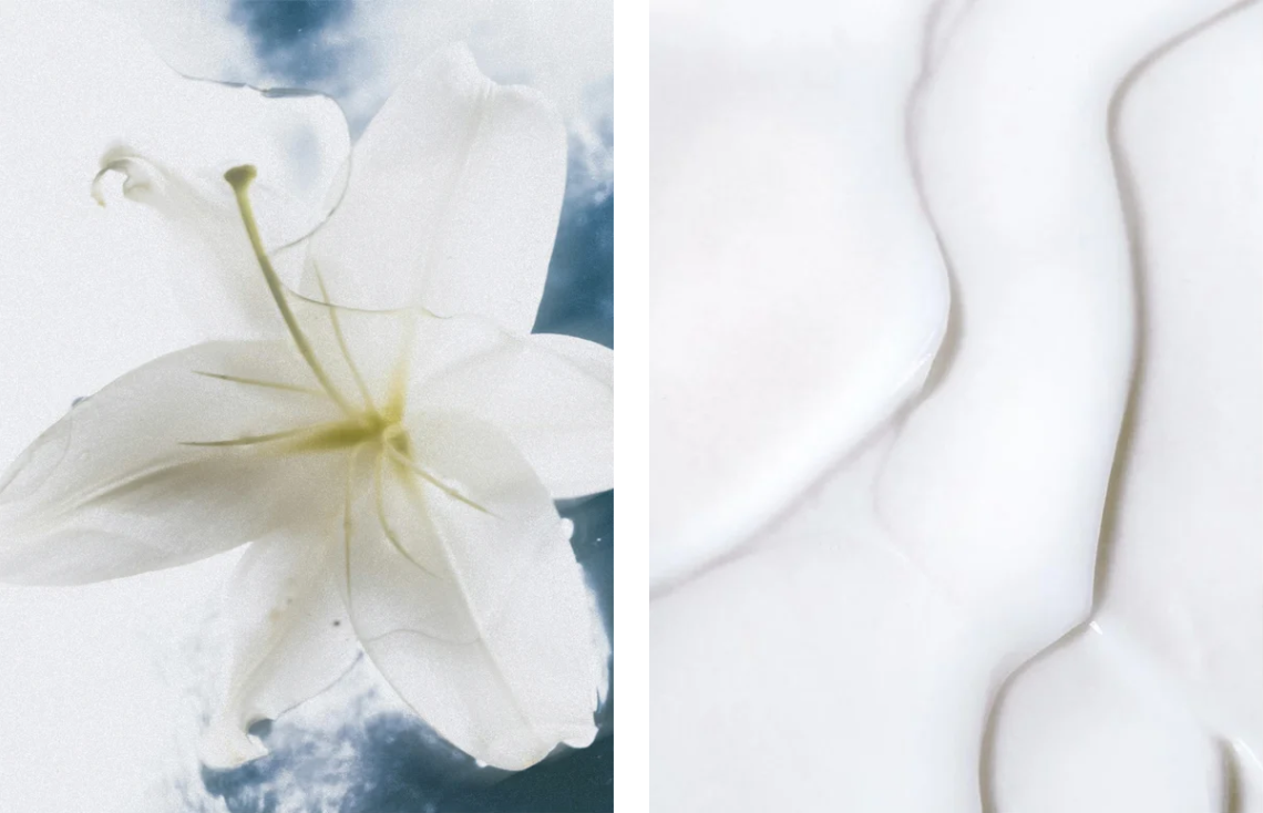 Körpercreme mit Sheabutter für empfindliche Haut vegan