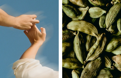 Handcreme Gewürze & Sandelholz für trockene Hände vegan