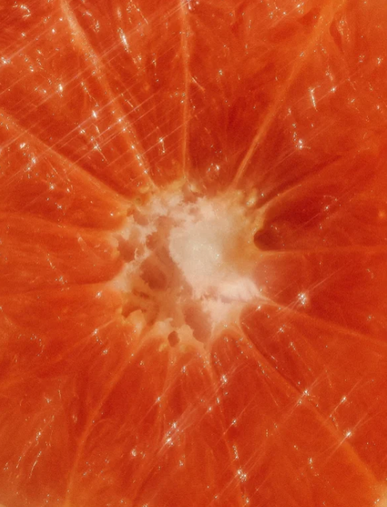 Hand & Body Wash Grapefruit vegan