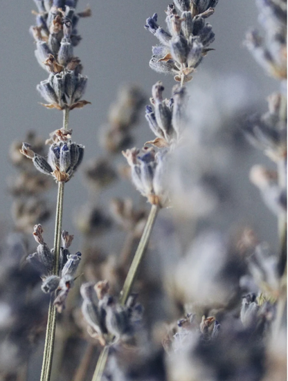 Handgegossene Sojawachskerze Lavendel, vegan