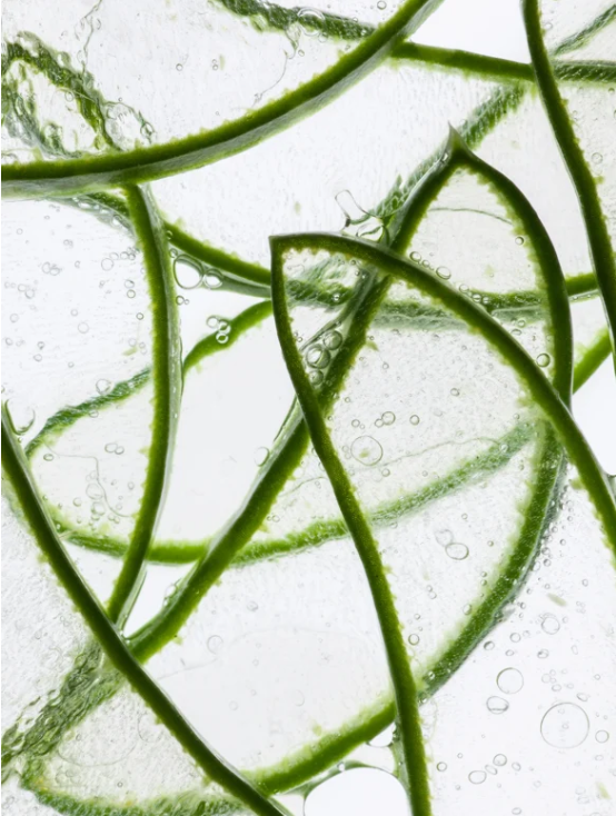 Anti-Age-Hydrogel-Augenpads