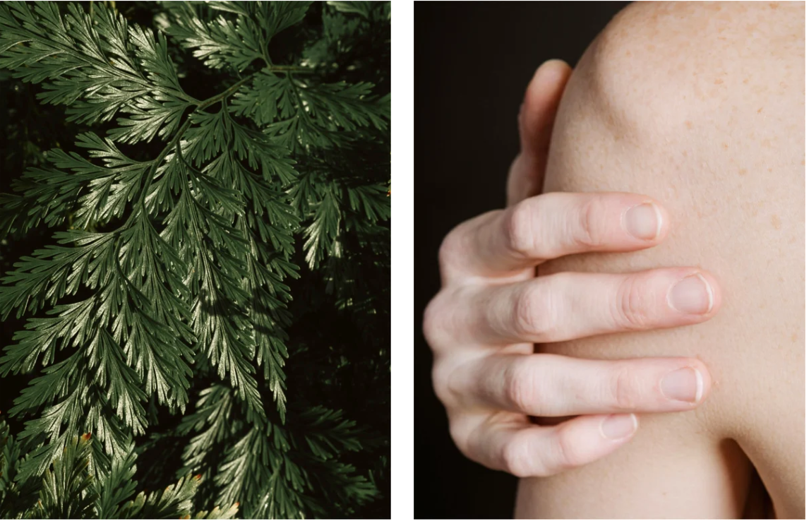 Derma-Erneuerungs-Duo, vegan