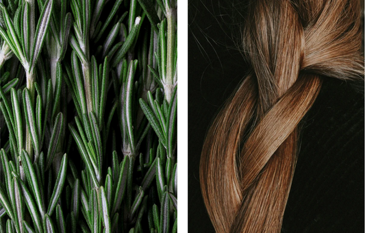 Rosmarin Haar- und Kopfhautstärkungsöl, vegan